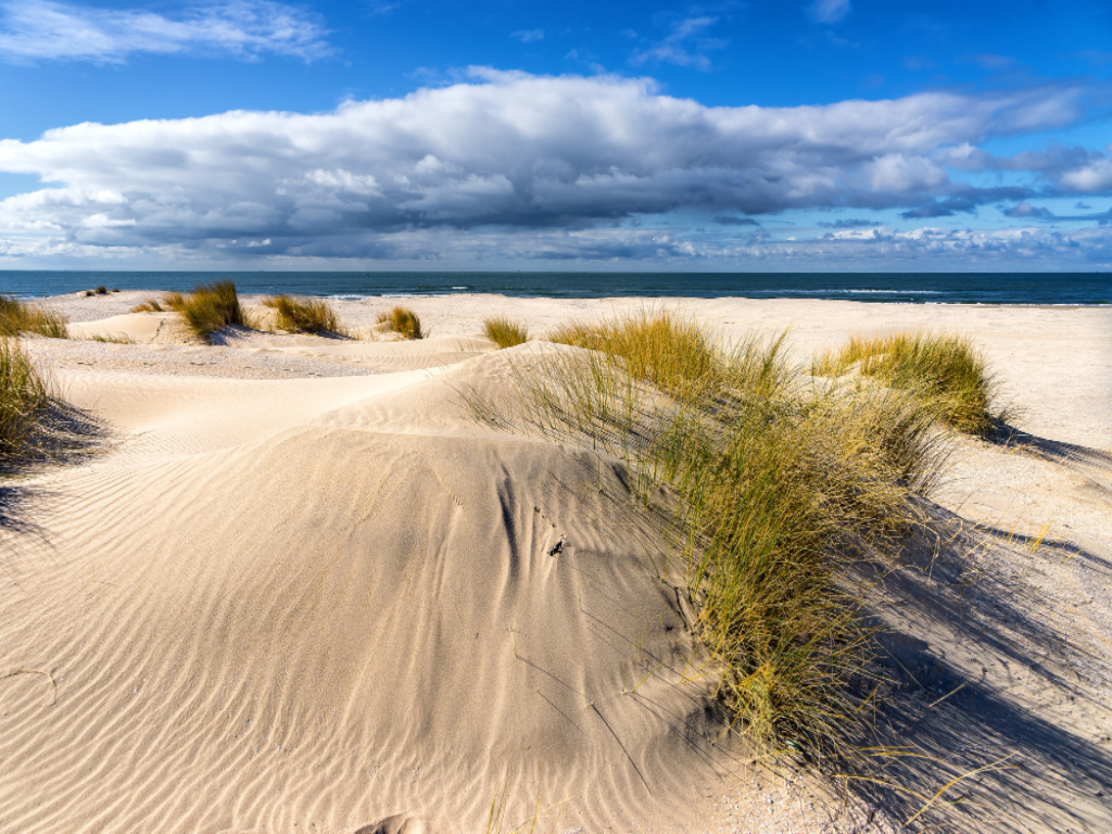 plaża na Półwyspie Helskim