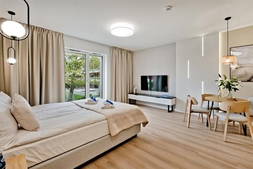 Apartment Image 2