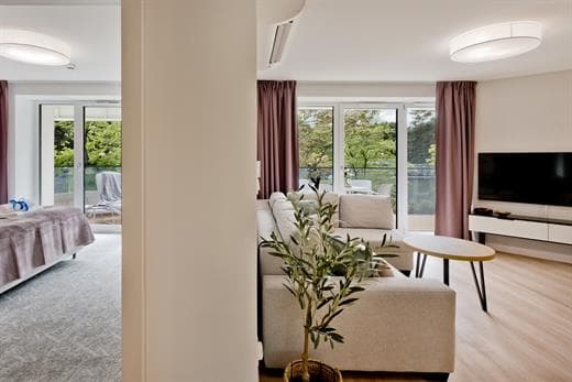 Apartment Image 5