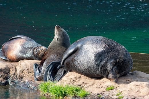 atrakcje-w-juracie-5-najlepszych-atrakcji-dla-turystow